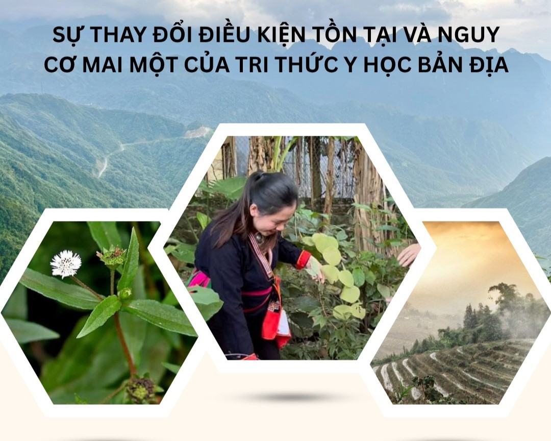 SỰ THAY ĐỔI ĐIỀU KIỆN TỒN TẠI VÀ NGUY CƠ MAI MỘT CỦA TRI THỨC Y HỌC BẢN ĐỊA