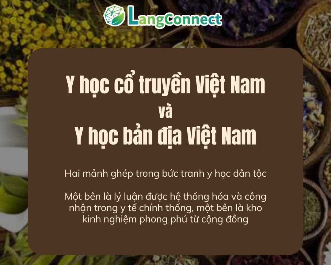 Y HỌC CỔ TRUYỀN VIỆT NAM VÀ Y HỌC BẢN ĐỊA VIỆT NAM: HAI MẢNH GHÉP TRONG BỨC TRANH Y HỌC DÂN TỘC