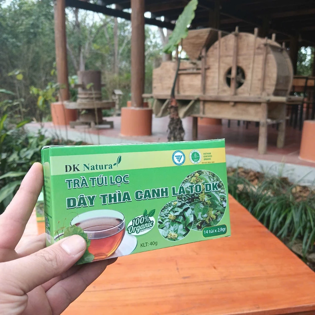 Sản Phẩm Trà túi lọc Dây thìa canh lá to - Tiêu chuẩn Organic DK Natura