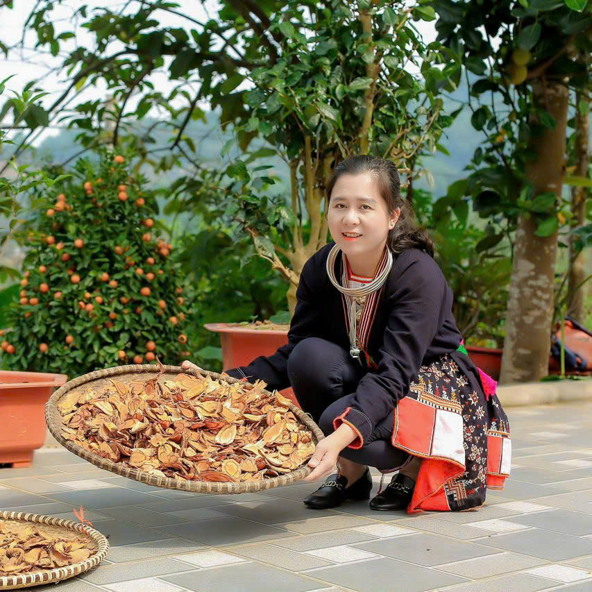 Dương Thị Hải Anh